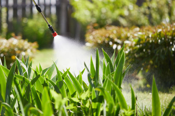 24/7 Emergency Wasp Removal experts in Wrangell, AK