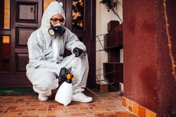 Reliable Wasp Removal contractor in Wrangell, AK by Show Me Pest Control